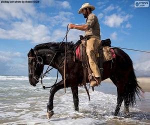 Cowboy by the sea puzzle