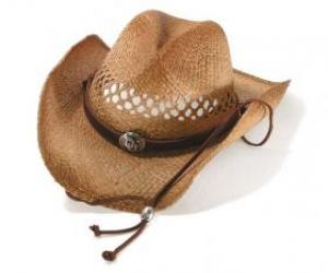 Cowboy hat puzzle