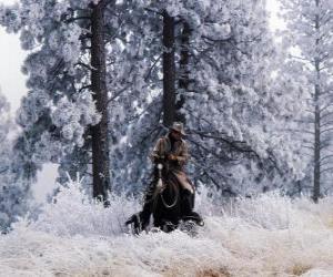 Cowboy riding a horse puzzle