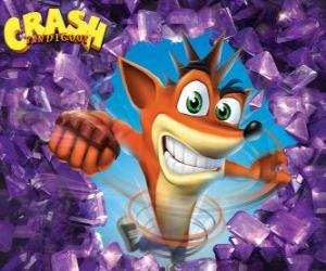 Crash Bandicoot, protagonist of the video game Crash Bandicoot puzzle