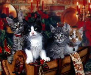 Cute kittens on Christmas Day puzzle