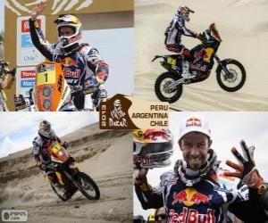 Cyril Despres, Dakar 2013 puzzle