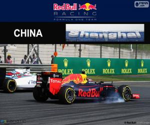 D. Kuyat 2016 Chinese Grand Prix puzzle