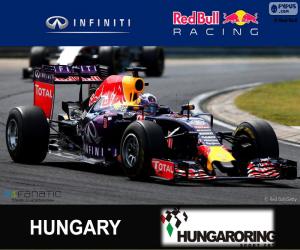 D. Ricciardo 2015 Hungarian Grand Prix puzzle