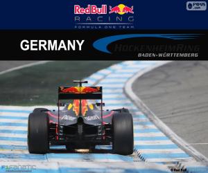 D. Ricciardo, 2016 German Grand Prix puzzle