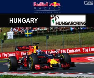 Daniel Ricciardo, GP Hungary 2016 puzzle