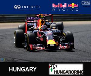 Daniil Kvyat 2015 Hungarian Grand Prix puzzle