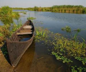 Danube Delta, the delta largest and best preserved in Europe. Romania. puzzle