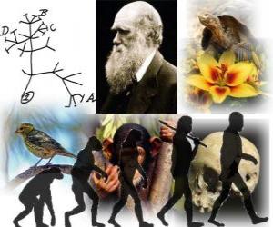 Darwin Day, Charles Darwin was born on february 12, 1809. Darwin tree, the first scheme of his evolution theory puzzle