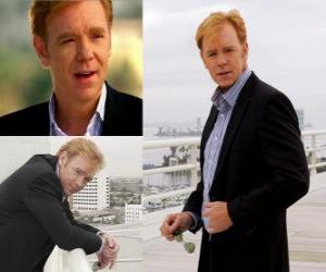 David Caruso puzzle