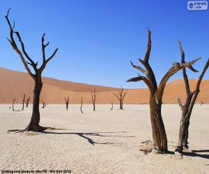 Deadvlei, Namibia puzzle