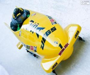 Descending in a bobsleigh or bobsled puzzle