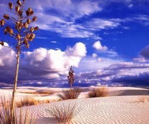 Desert Landscape puzzle