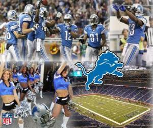 Detroit Lions puzzle