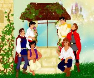 Disney Princes puzzle