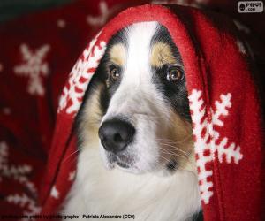 Dog Christmas puzzle