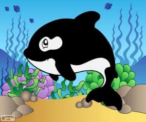 Drawing of a orca puzzle