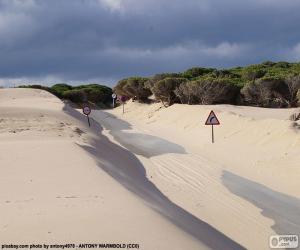 Dunes, road puzzle