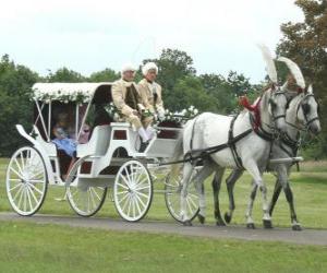 Elegant horse carriage puzzle