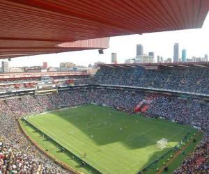 Ellis Park Stadium (61.639), Johannesburg puzzle