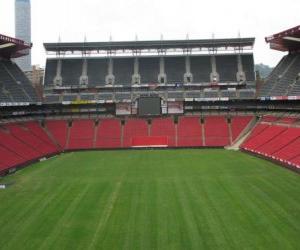 Ellis Park Stadium (61.639), Johannesburg puzzle