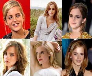 Emma Watson was known for her role as Hermione Granger, one of the three stars of the Harry Potter film series puzzle