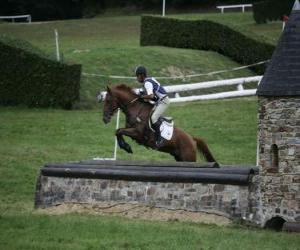 Equestrian Eventing is a tough competition puzzle