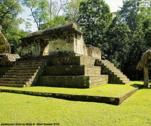 Est A-3, Seibal, Guatemala puzzle