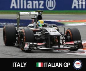 Esteban Gutiérrez - Sauber - Monza, 2013 puzzle