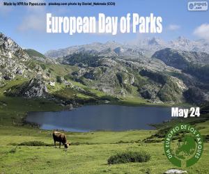 European Day of Parks puzzle