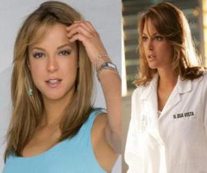 Eva LaRue, Natalia Boa Vista of CSI Miami puzzle