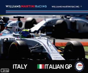 F. Massa, 2015 Italian Grand Prix puzzle