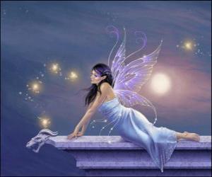 Fairy in a starry sky puzzle