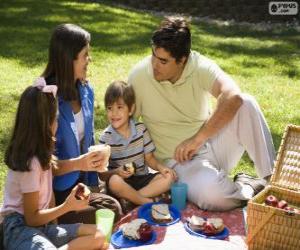 Family in a picnic in the park puzzle