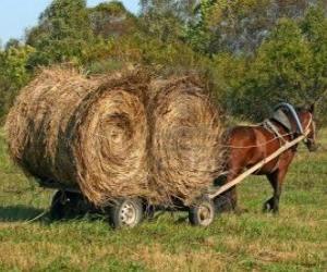 Farmer with a horse drawn carriage puzzle