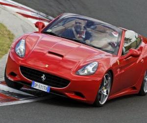 Felipe Massa driving a Ferrari California - Hungaroring 2010 - puzzle