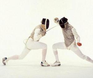 Fencing puzzle