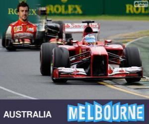 Fernando Alonso - Ferrari - 2013 Australian GP, 2º classified puzzle