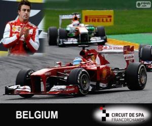 Fernando Alonso - Ferrari - 2013 Belgian Grand Prix, 2º classified puzzle