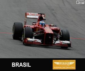Fernando Alonso - Ferrari - 2013 Brazilian Grand Prix, 3rd classified puzzle