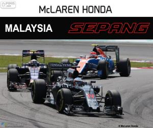 Fernando Alonso, Malaysian GP 2016 puzzle