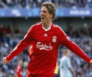 Fernando Torres celebrating a goal puzzle