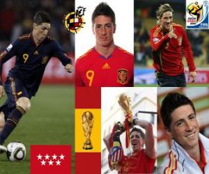 Fernando Torres (It made us dream) Spanish National Team forward puzzle