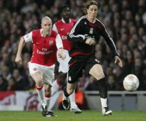 Fernando Torres shooting the ball puzzle