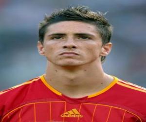 Fernando Torres puzzle