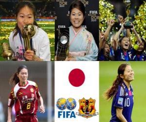 FIFA Women’s World Player of the Year 2011 winner Homare Sawa puzzle