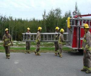 Firefighters carrying a ladder puzzle