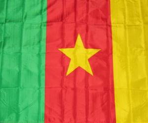 Flag of Cameroon puzzle