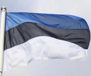 Flag of Estonia puzzle