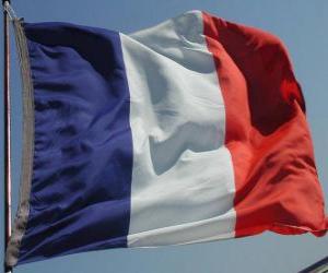 Flag of France puzzle